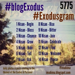 #blogExodus 5775 topics